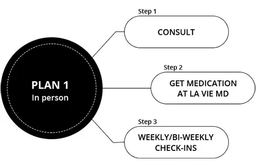 Semaglutide-Plan-1-new Semaglutide-Plan